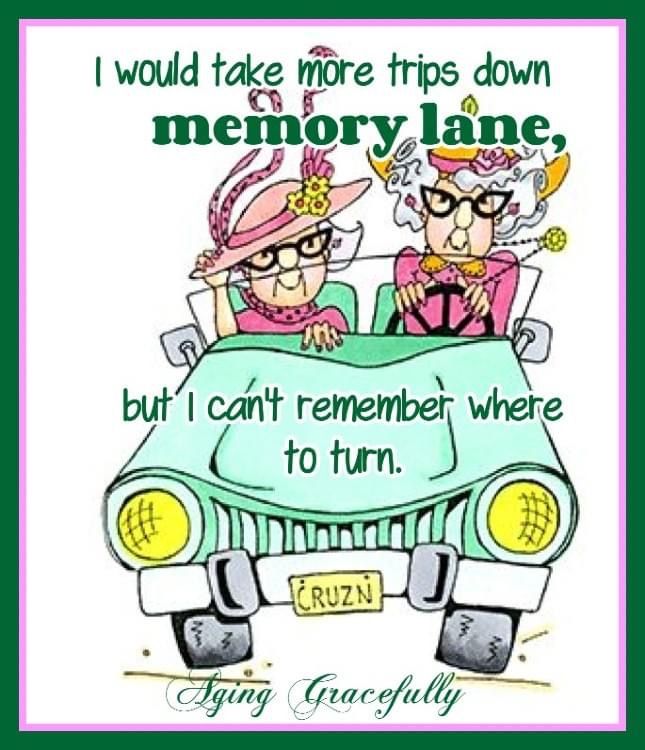 These 20 Jokes Turn Old Lady Wrinkles Into Laughter 12 WhatsApp Image 2026 03 04 at 9.29.18 PM