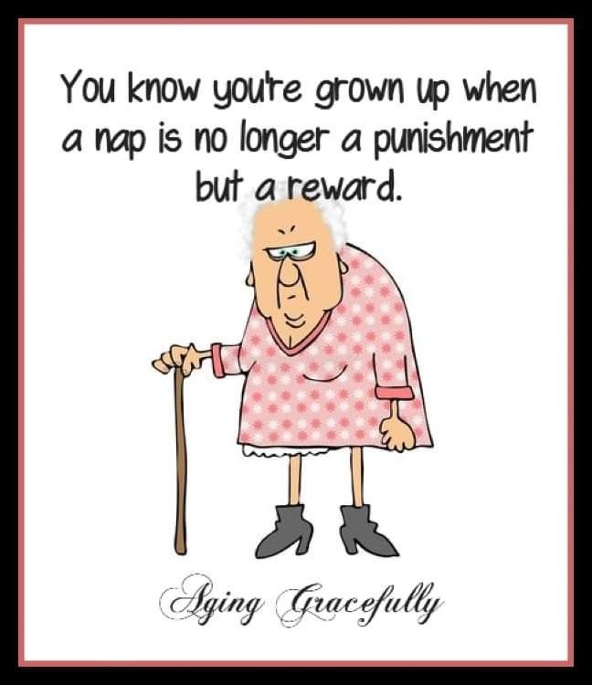 These 20 Jokes Turn Old Lady Wrinkles Into Laughter 21 WhatsApp Image 2026 03 04 at 9.29.29 PM