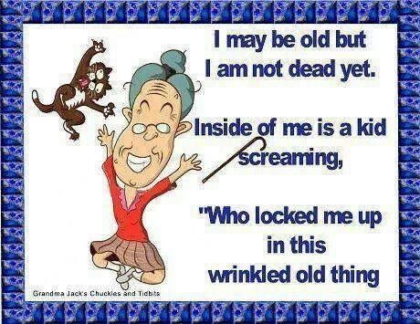 20 Wise Quotes That Perfectly Capture Old Lady Life 5 WhatsApp Image 2026 03 06 at 5.07.01 PM