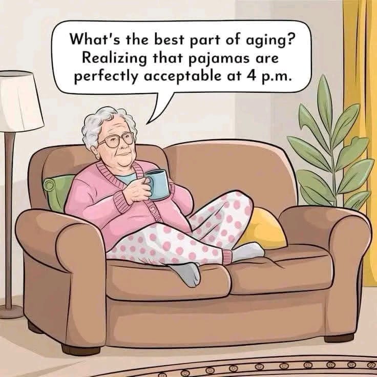 These 20 Comics Show Age Can’t Stop An Old Lady to smile 5 WhatsApp Image 2026 03 11 at 1.55.01 PM 2
