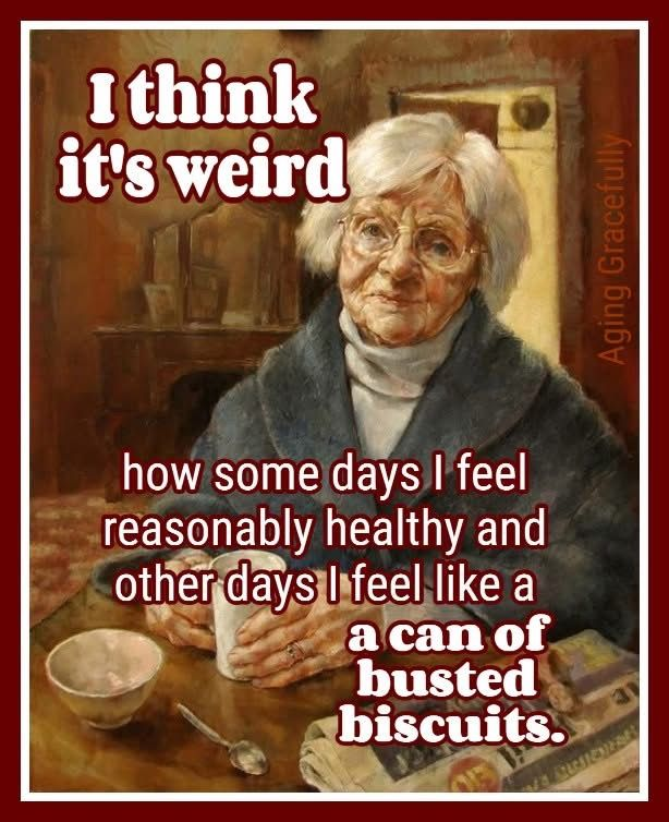 An Old Lady Shows The Secret to Enjoying Life After Retirement (20 Jokes) 6 image 1001