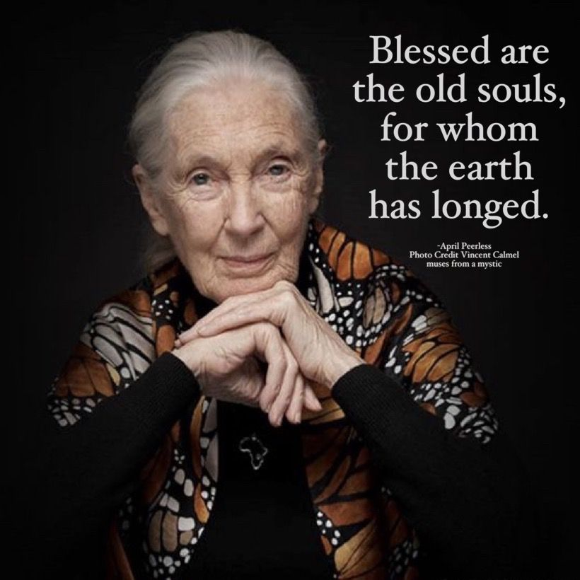 20 New Old Lady Quotes About Staying Positive as You Grow Older 7 image 1023