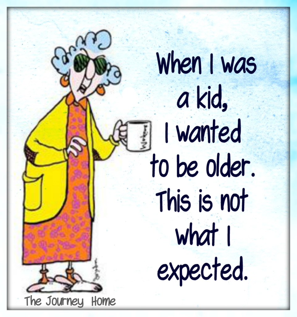 20 Comics About Middle Age Changes and How to Accept Them 5 image 1044