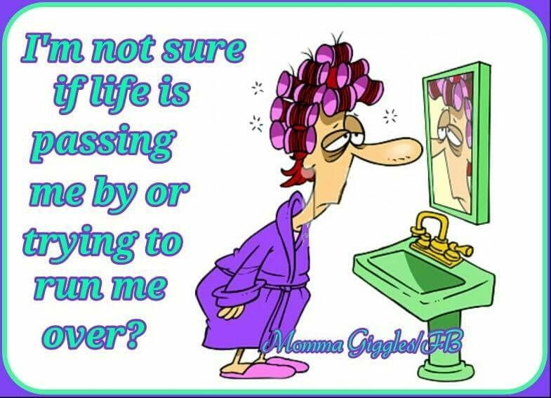20 Comics About Middle Age Changes and How to Accept Them 14 image 1055