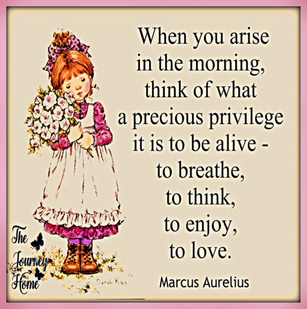 20 Awesome Jokes About Aging Gracefully with a Positive Mind 12 image 1074