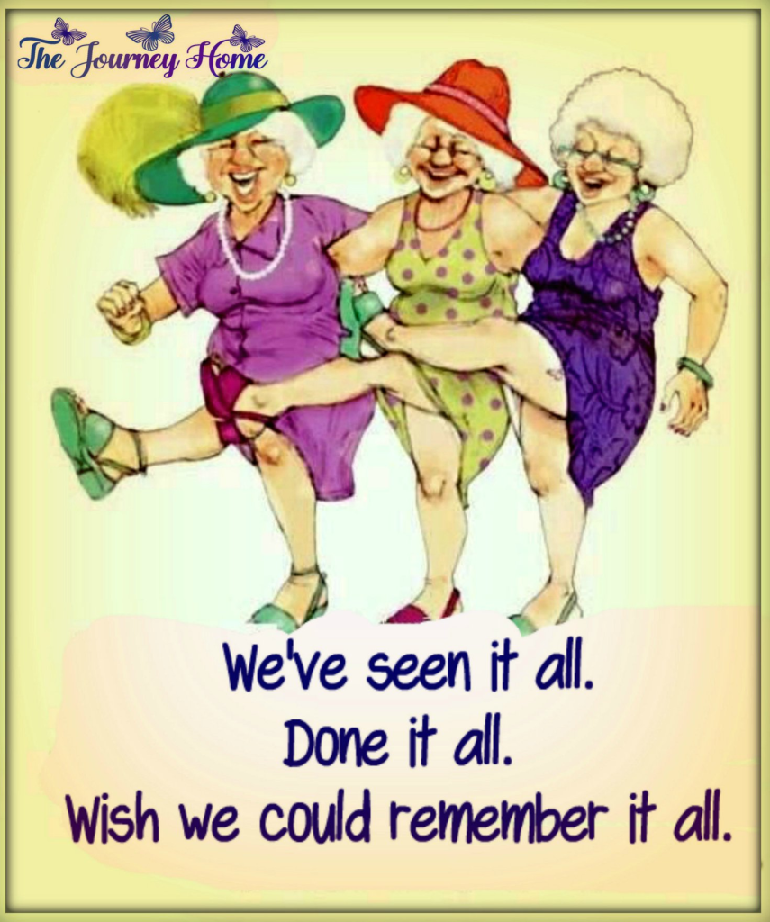 20 New Jokes By A Grandma Who Says Life Begins After the Kids Leave 12 image 1117