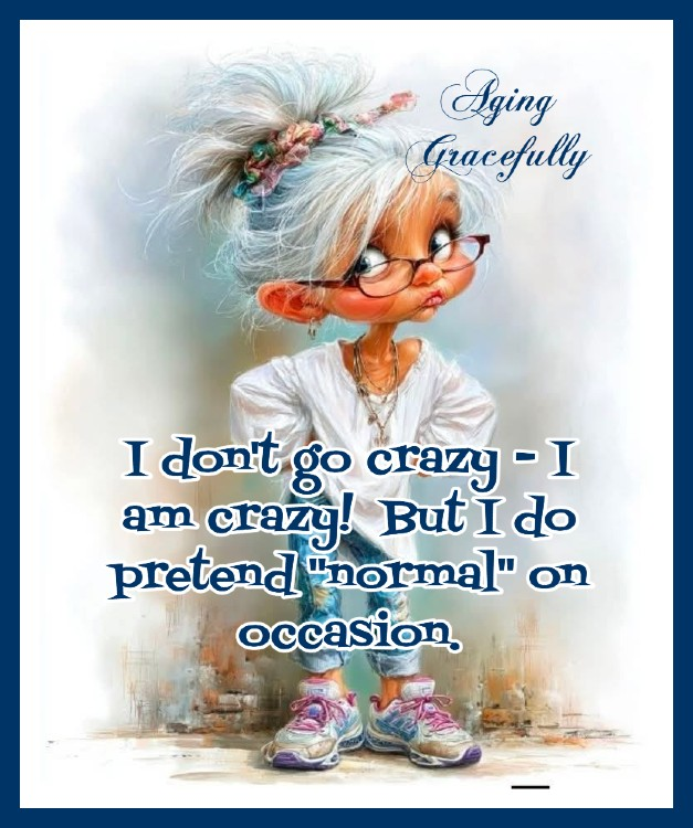 An Old Grandmother Shows That Laughter is Best Medicine (20 Comics) 10 image 209