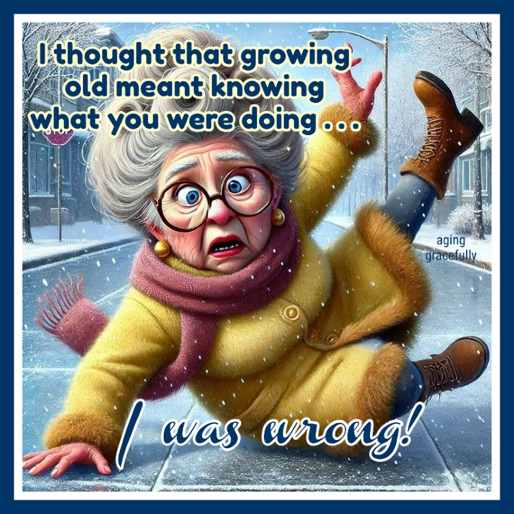 An Old Grandmother Shows That Laughter is Best Medicine (20 Comics) 11 image 210