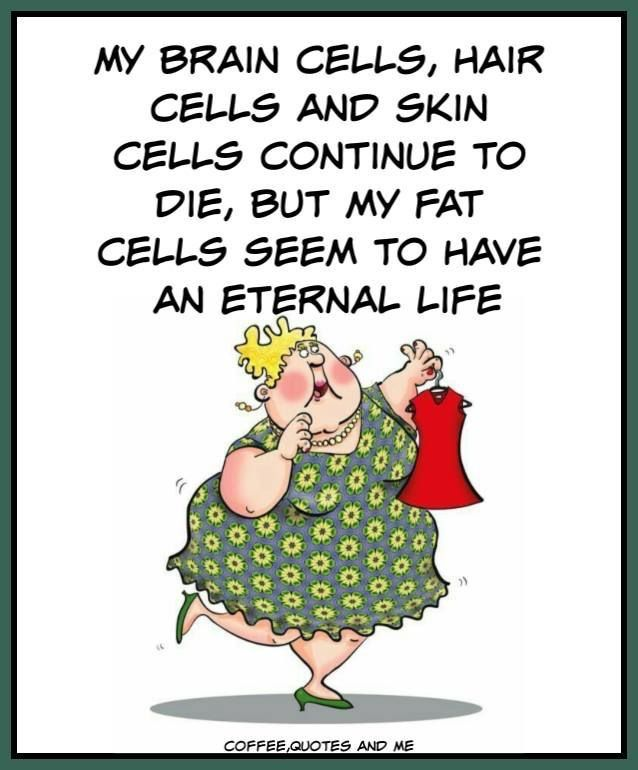 A Funny Old Lady Shows The Daily Life Struggles in 20 Jokes 2 image 222