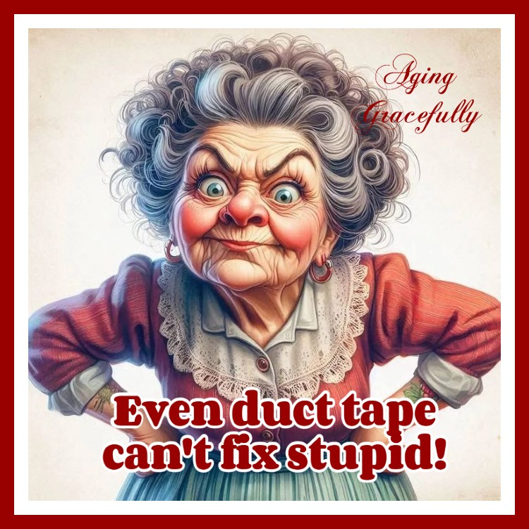 A Funny Old Lady Shows The Daily Life Struggles in 20 Jokes 12 image 232