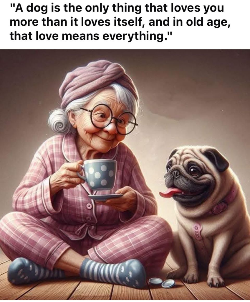 A Funny Old Lady Shows The Daily Life Struggles in 20 Jokes 20 image 240