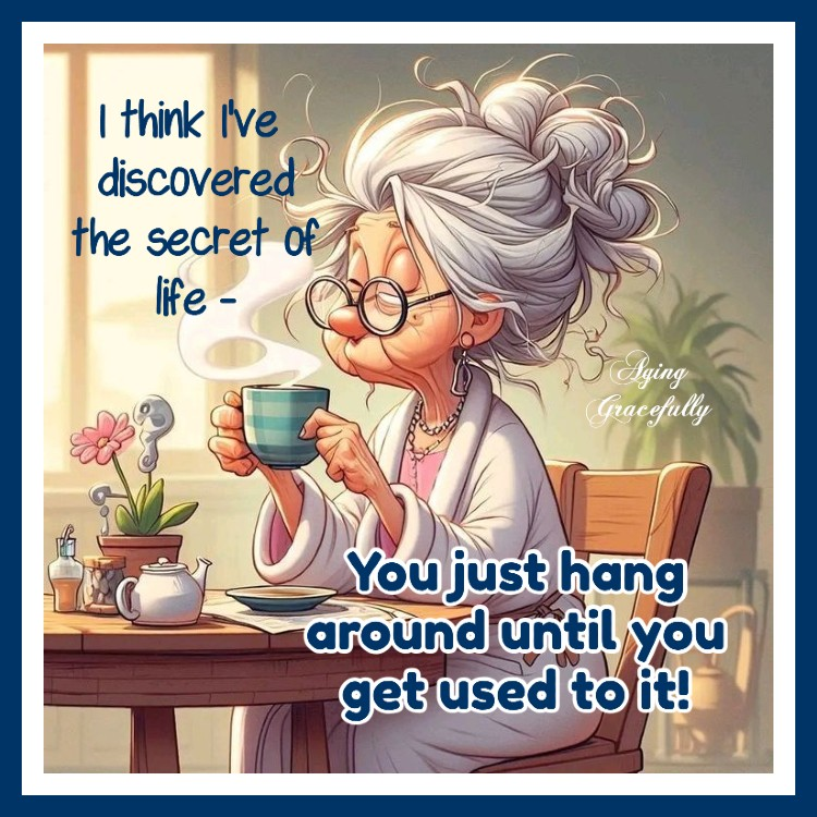 This Blog Shows The Wrinkles That Comes With Old Age (20 Jokes) 2 image 242