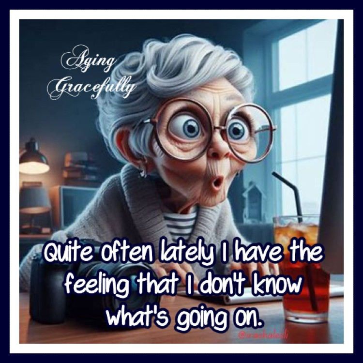 Here are 20 New Middle Age Funs That Will Make Your Mood Good 9 image 271