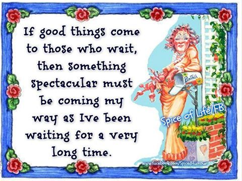 Here are 20 New Middle Age Funs That Will Make Your Mood Good 13 image 275