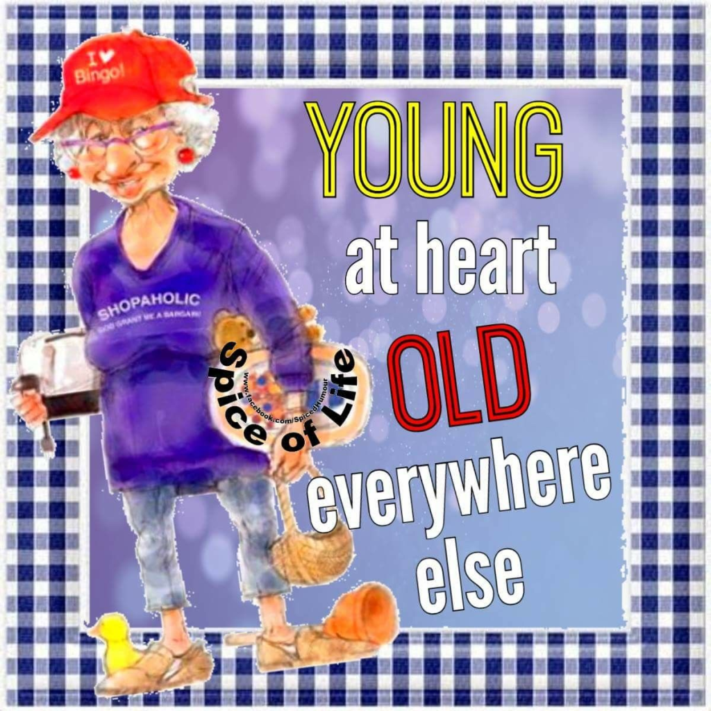 20 Funny Jokes Show Old Ladies Know The Secret To Happiness 2 image 316