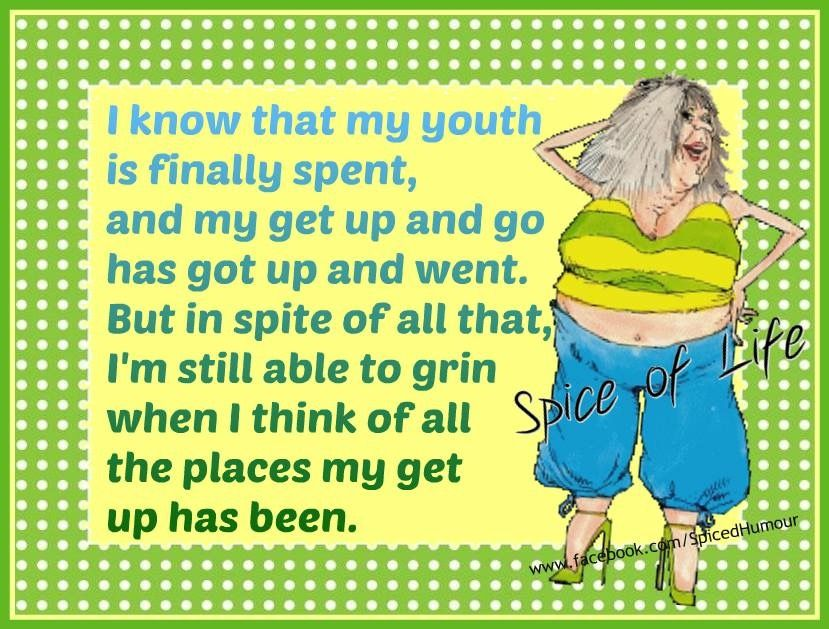 20 Funny Jokes Show Old Ladies Know The Secret To Happiness 3 image 317