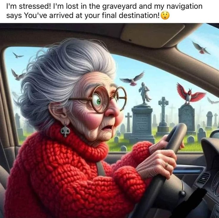 These 20 Comics Show Age Can’t Stop An Old Lady to smile 6 image 335