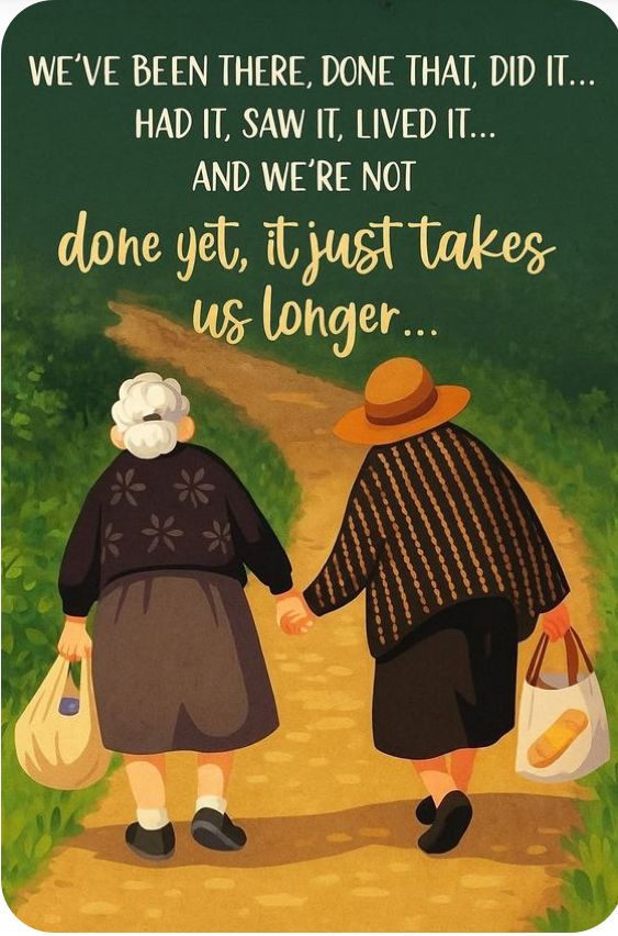 20 Funny Illustrations Shows That Do not Underestimate The Grandma Humor 5 image 367