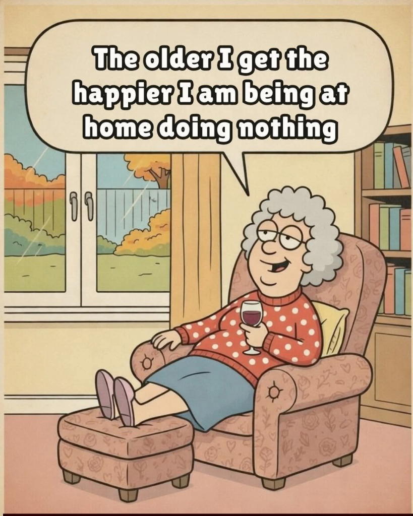 20 Funny Illustrations Shows That Do not Underestimate The Grandma Humor 11 image 373