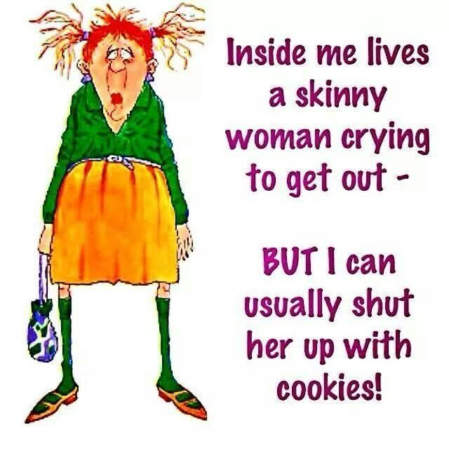 20 Funny Illustrations Shows That Do not Underestimate The Grandma Humor 15 image 377