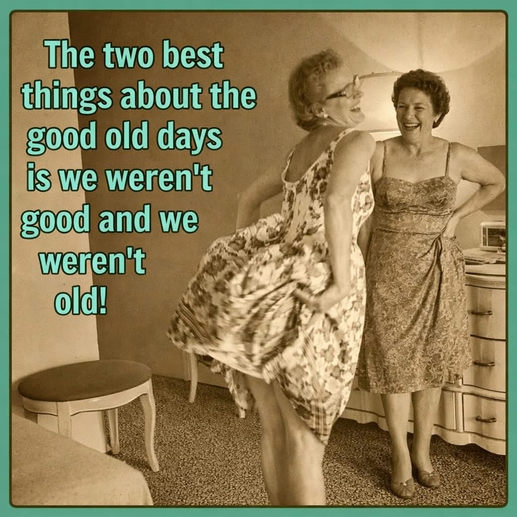 20 Funny Illustrations Shows That Do not Underestimate The Grandma Humor 20 image 382