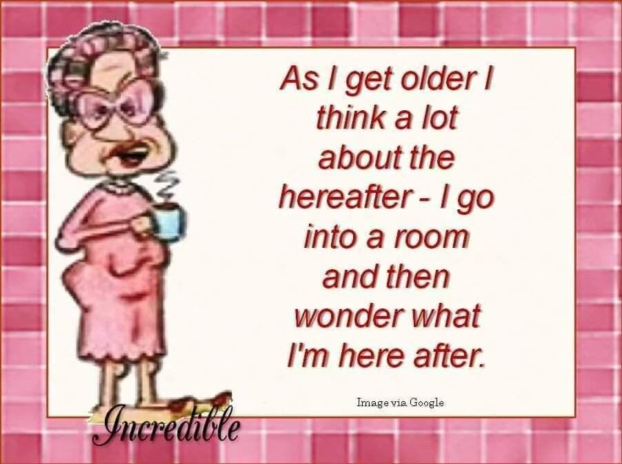 15+ Best Grandma Jokes That Are Funny and Family Friendly 18 image 401