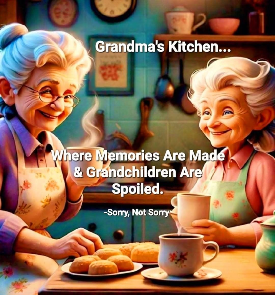A Grandma Shows Memory Issues Happens With Old age (20 Pics) 8 image 480