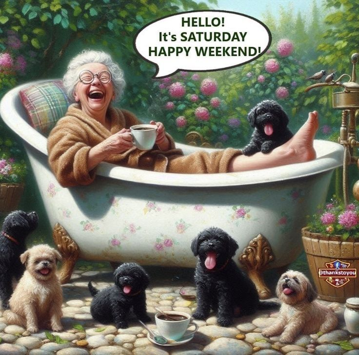 20 Fantastic Jokes About The Struggles of Old Ladies In Daily Life 5 image 502