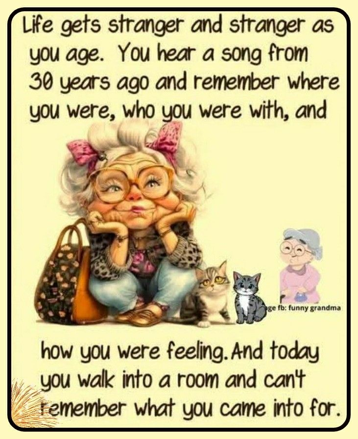 Old age is When Knees Sound Like Microwave Popcorn (20 New Jokes) 20 image 814