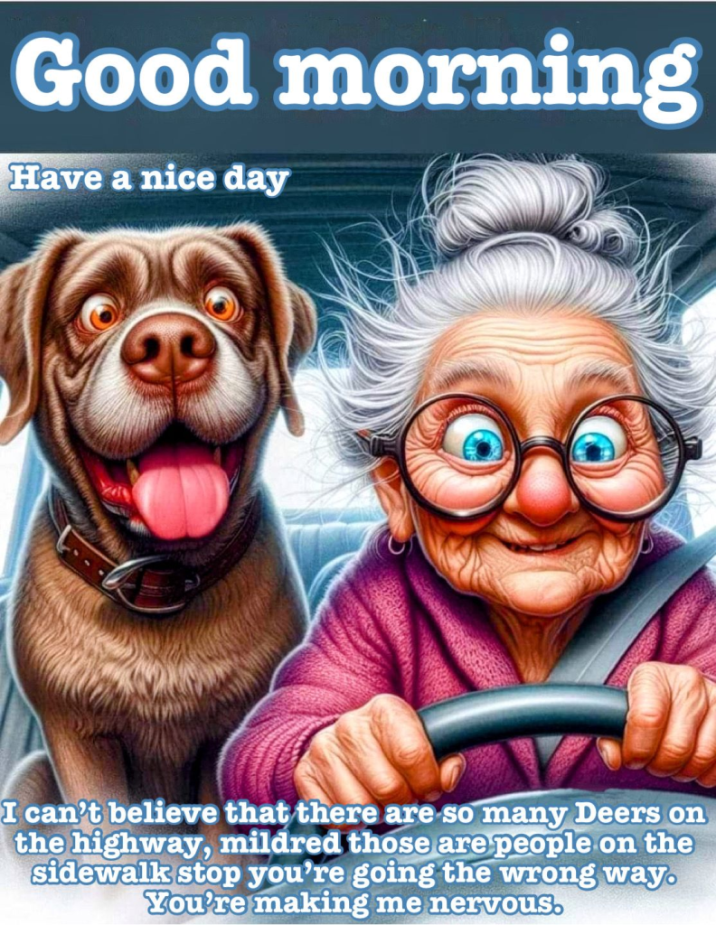 This Blog Shows Emotional Planning for Life After Fifty (20 Quotes) 7 image 881