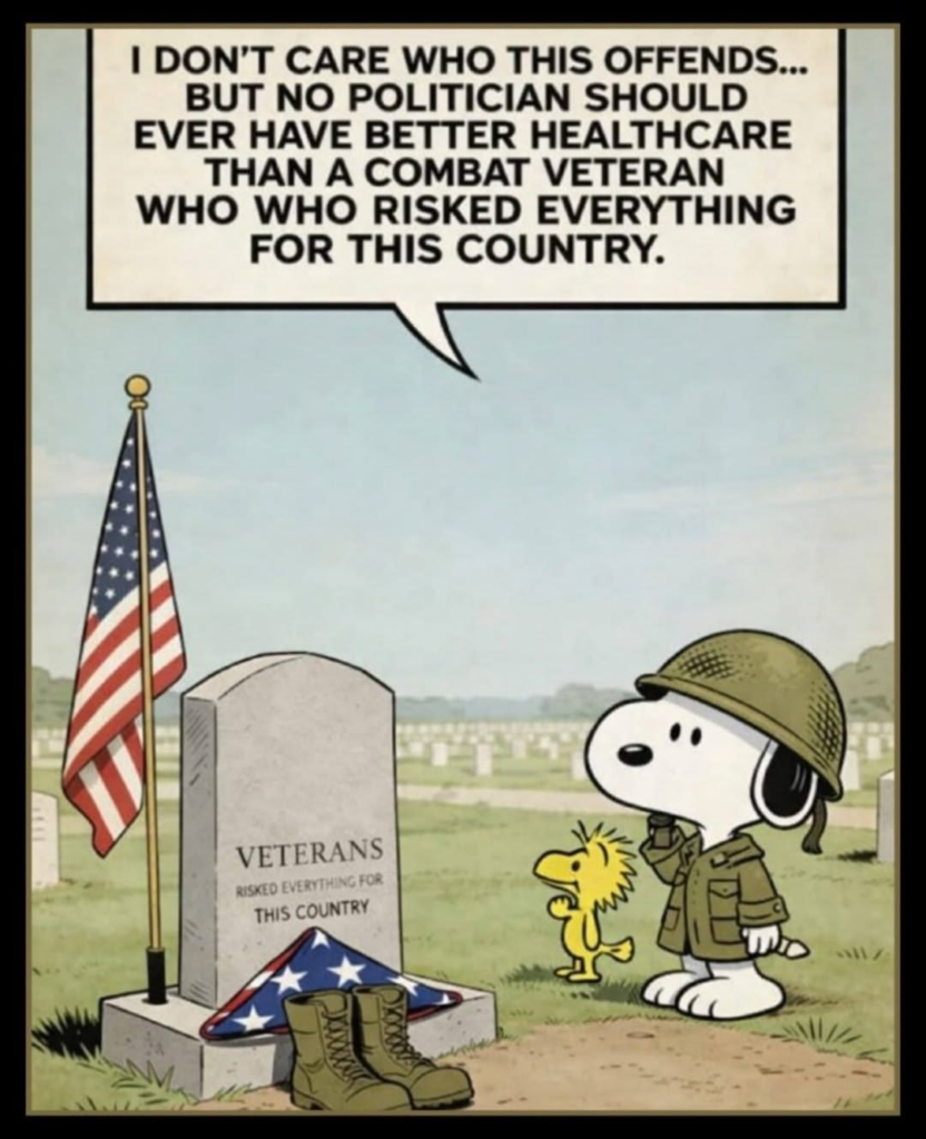 20 Times Snoopy Shows The Best Ways to Avoid Your Everyday Problems 5 image 127