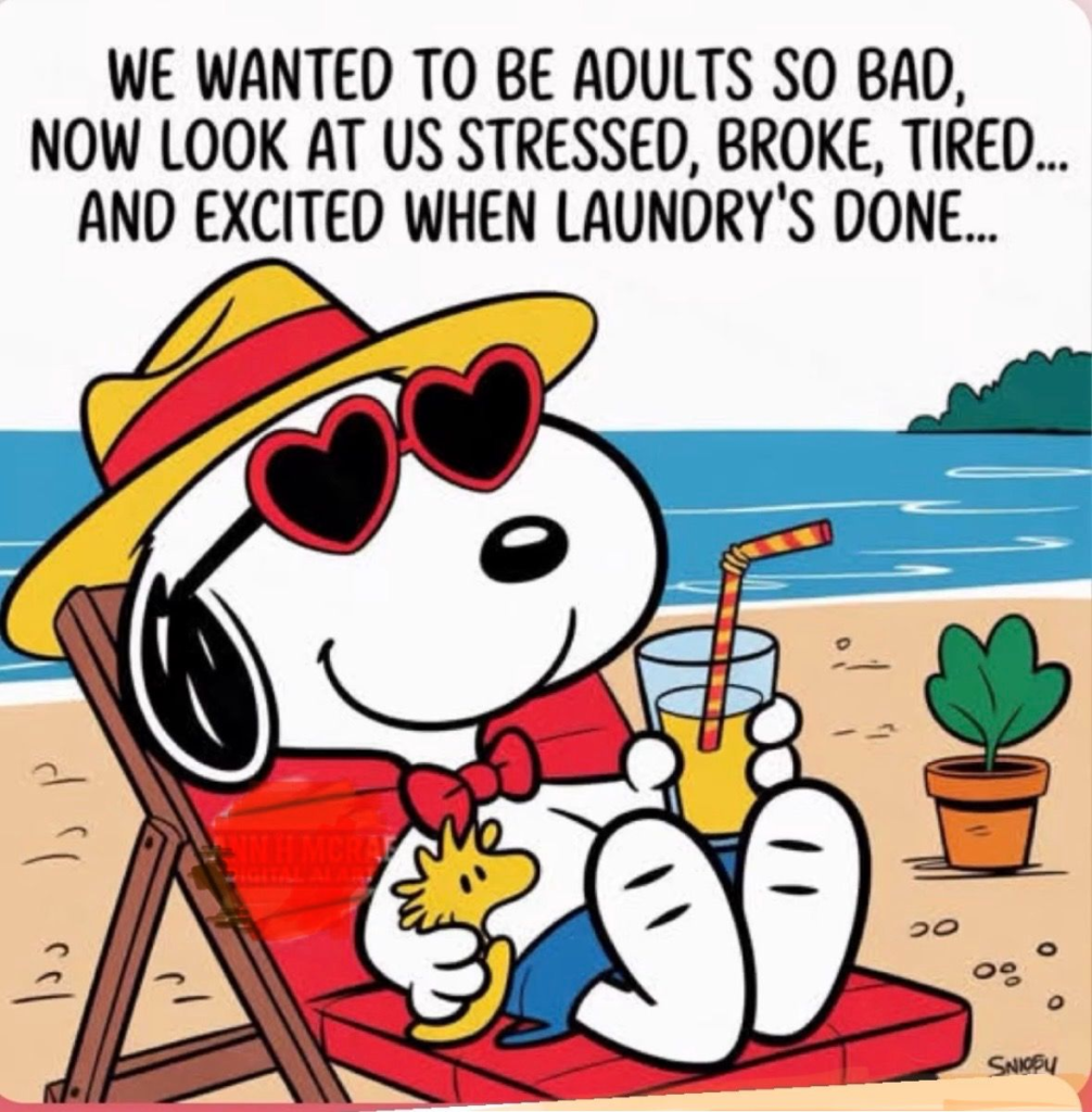 20 Classic Snoopy Moments That Show Life Is Better with a Little Humor 9 image 151