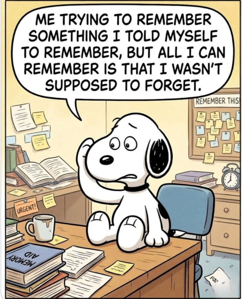 20 Classic Snoopy Moments That Show Life Is Better with a Little Humor 11 image 153