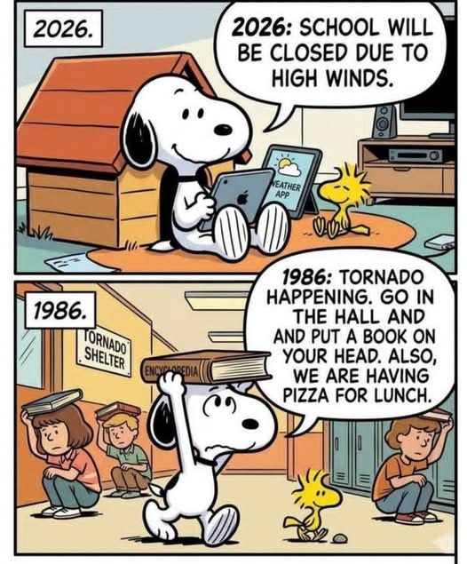 20 Classic Snoopy Moments That Show Life Is Better with a Little Humor 12 image 154