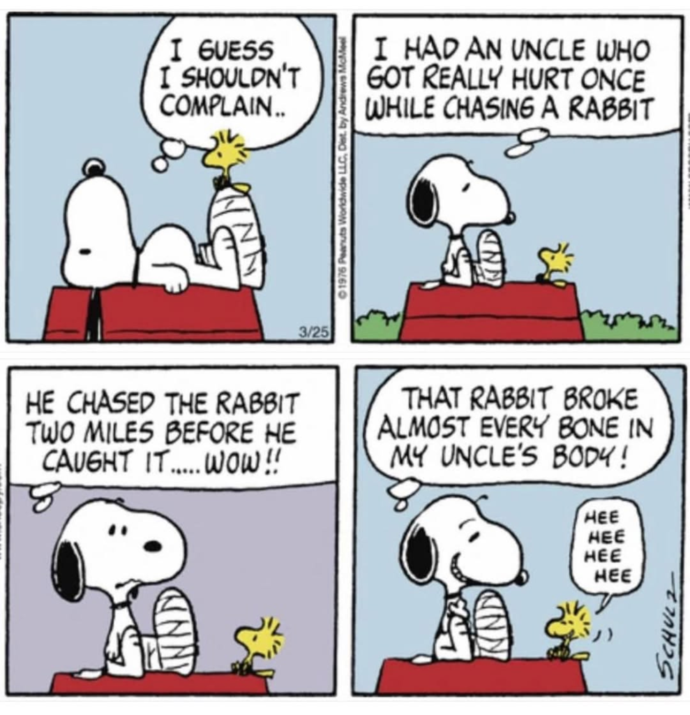20 Classic Snoopy Moments That Show Life Is Better with a Little Humor 20 image 162