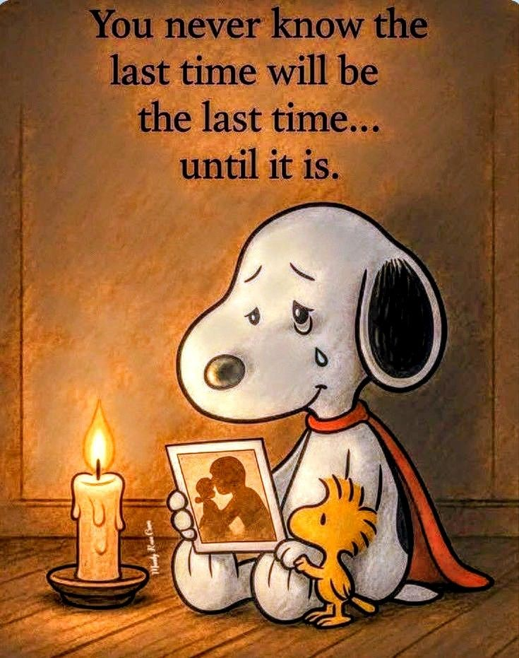 20 Times Snoopy Created Cartoons That Spread Positivity And Smile 2 image 184