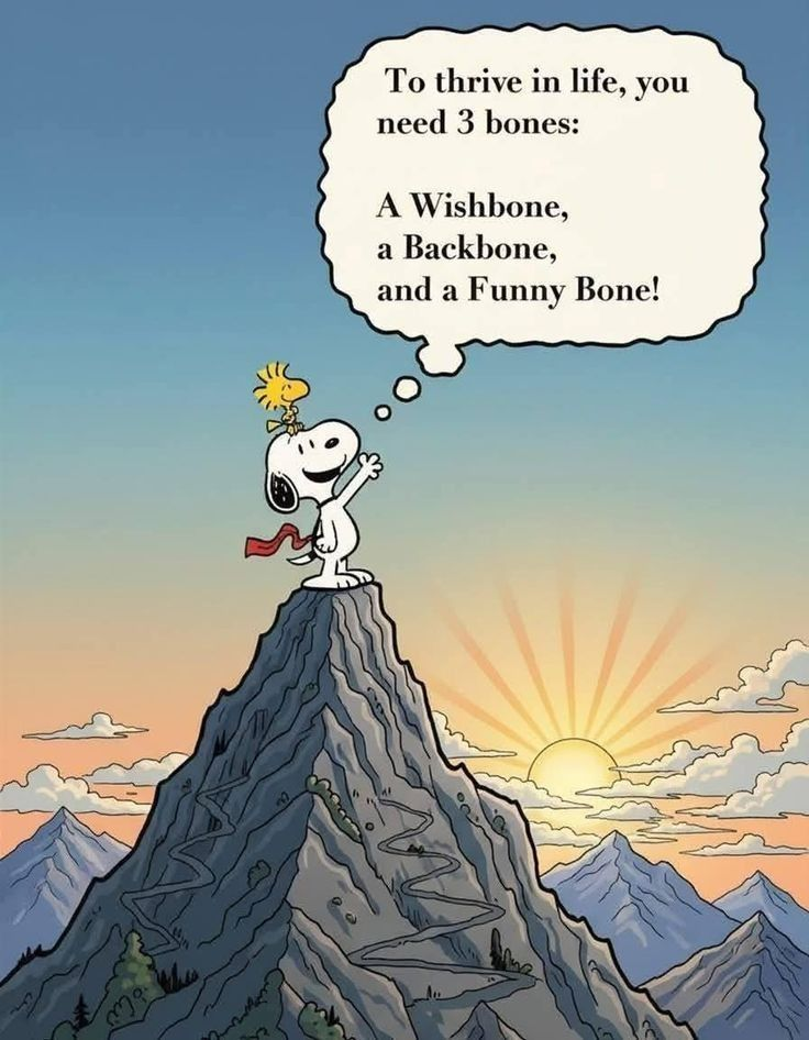 20 Times Snoopy Created Cartoons That Spread Positivity And Smile 7 image 189