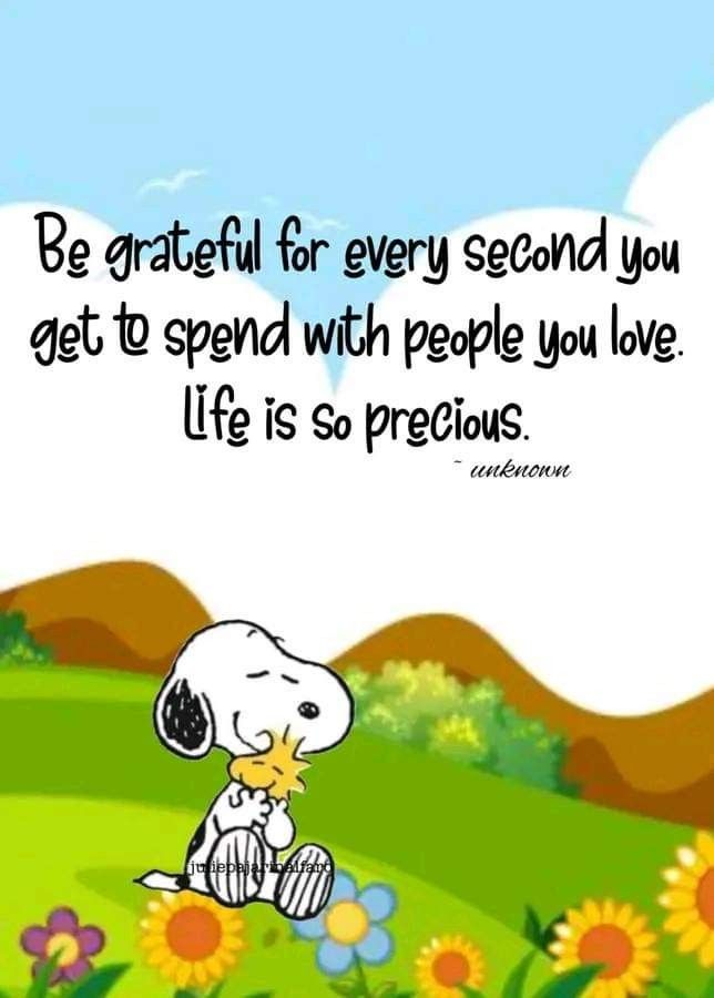 20 Times Snoopy Created Cartoons That Spread Positivity And Smile 9 image 191