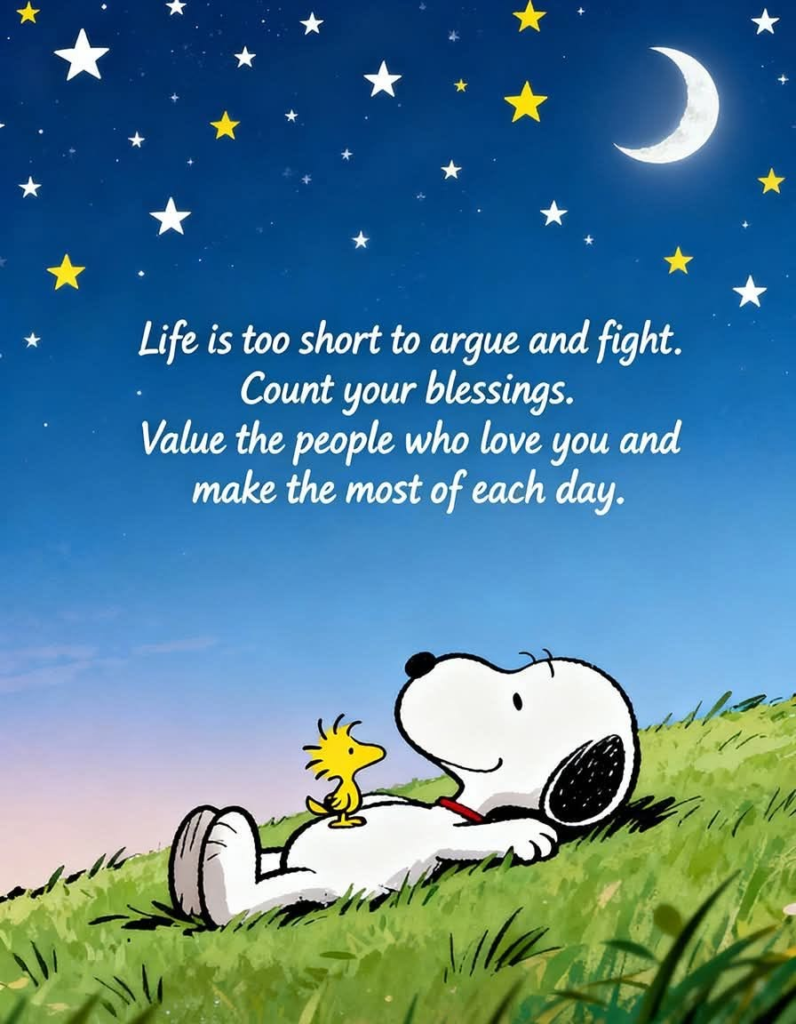 Here Are 20 Snoopy Cartoons That Shows How To Live Happy And Amusing Life 16 image 219