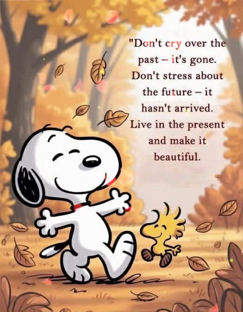 Here Are 20 Snoopy Cartoons That Shows How To Live Happy And Amusing Life 17 image 220