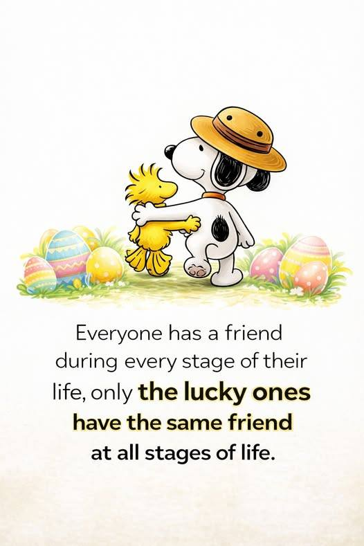 20 Snoopy Moments That Spread Hope and Kindness For Everyone 3 image 41