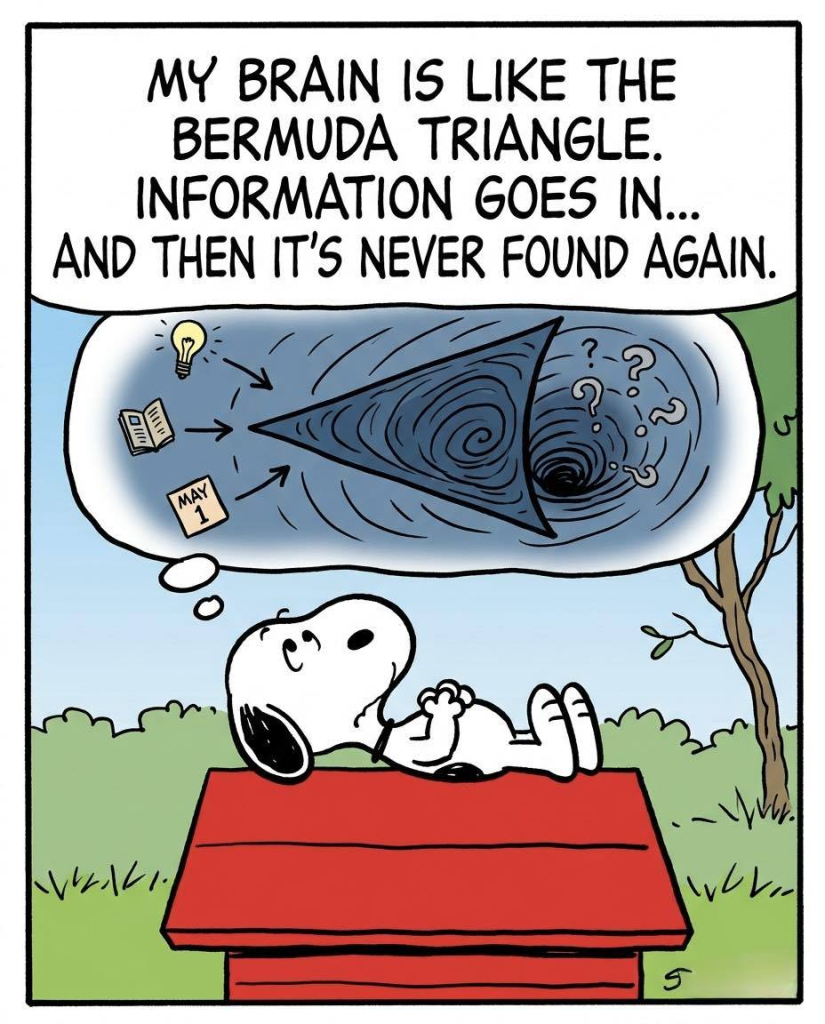 20 Snoopy Moments That Spread Hope and Kindness For Everyone 4 image 42