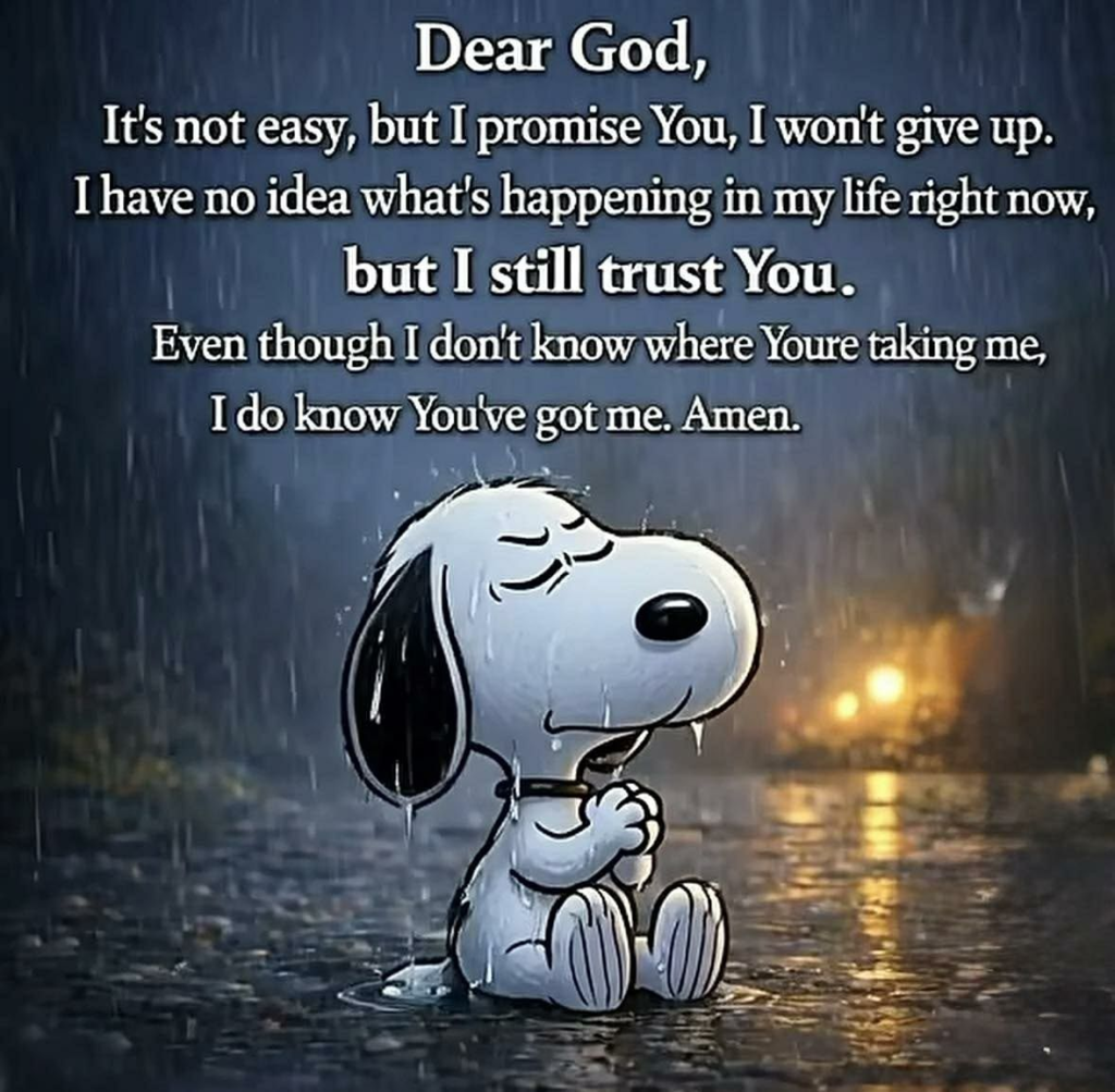 20 Snoopy Moments That Spread Hope and Kindness For Everyone 12 image 50