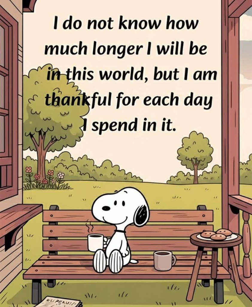 20 Snoopy Moments That Spread Hope and Kindness For Everyone 21 image 59