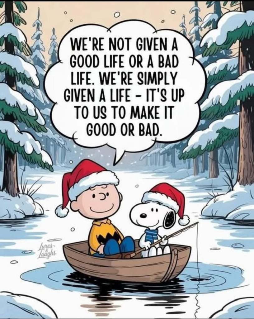 20 Times Snoopy The Dog show how to be happy In Life 13 image 71