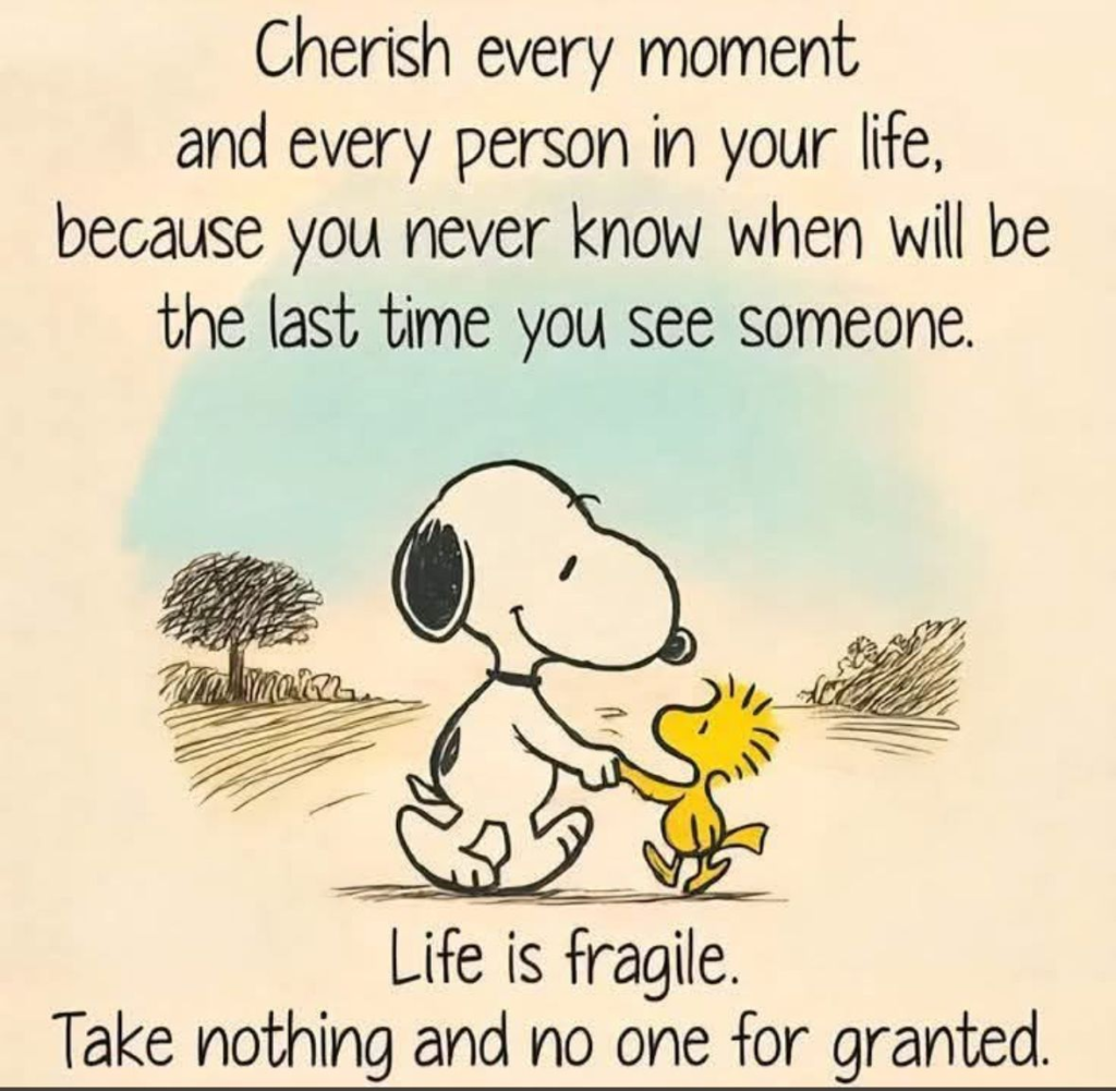 Here are 20 Snoopy lessons that show love is everything 4 image 82