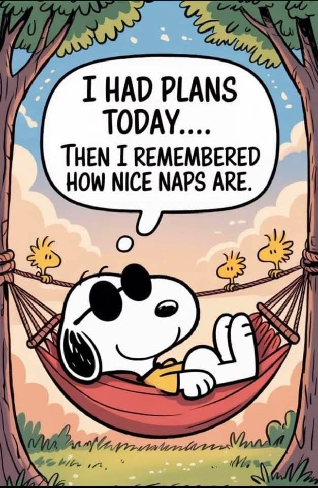 Here are 20 Snoopy lessons that show love is everything 16 image 94