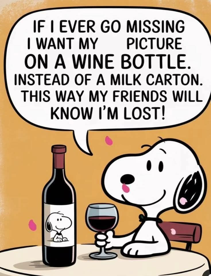 Here are 20 Snoopy lessons that show love is everything 17 image 95