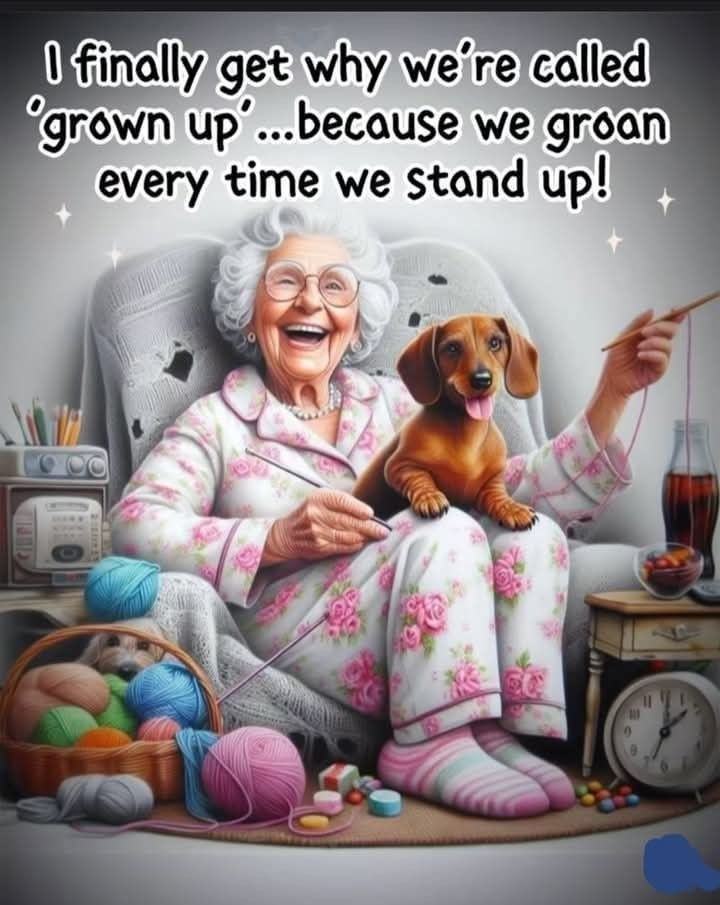A Retired Lady Sharing Her Thoughts About Old Age in 20 Jokes 13 image 1199