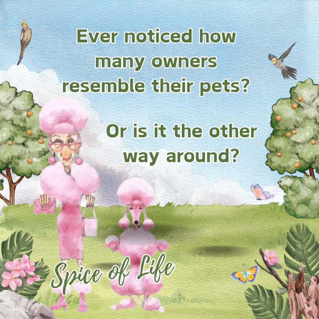 A Retired Lady Sharing Her Thoughts About Old Age in 20 Jokes 20 image 1206